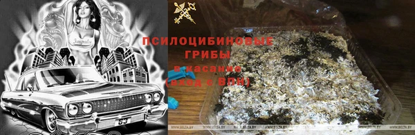 трава Наволоки