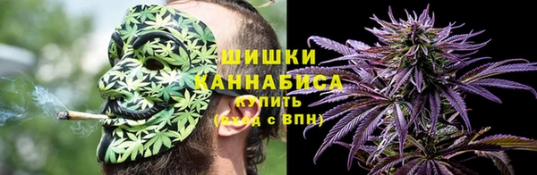 трава Наволоки