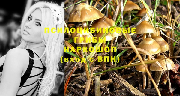 трава Наволоки