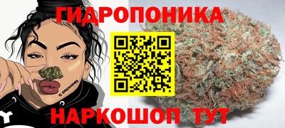 прущие крисы Краснокаменск