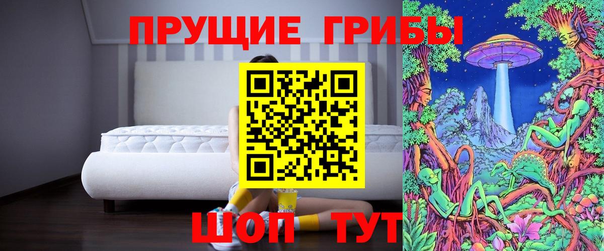 Псилоцибиновые грибы Cubensis Муравленко