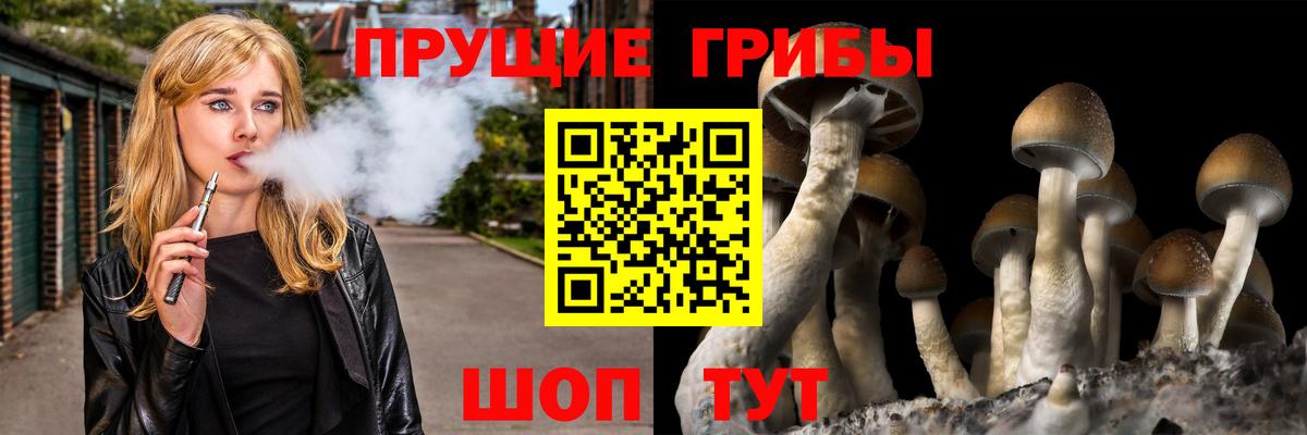 Муравленко  Галлюциногенные грибы Psilocybe  Псилоцибиновые грибы Psilocybine cubensis  Вход с VPN 